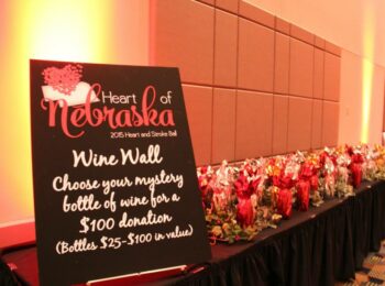 2015 Omaha Heart and Stroke Ball