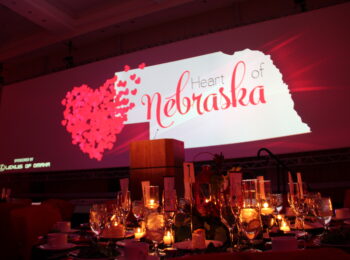 2015 Omaha Heart and Stroke Ball