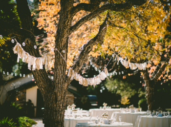Lightbulbs strung across trees and leaves in fall for corporate event themes