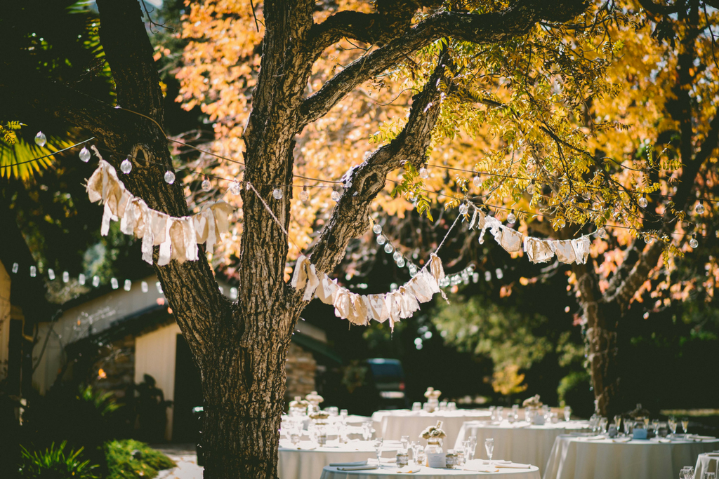 Lightbulbs strung across trees and leaves in fall for corporate event themes